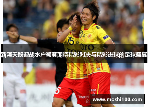 新泻天鹅迎战水户蜀葵期待精彩对决与精彩进球的足球盛宴